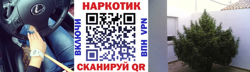 Где купить Ленинск-Кузнецкий мега tor Кокаин