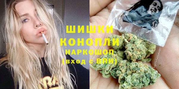 ПСИЛОЦИБИНОВЫЕ ГРИБЫ Балахна