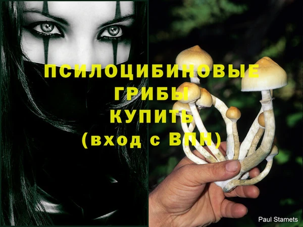 ПСИЛОЦИБИНОВЫЕ ГРИБЫ Балахна